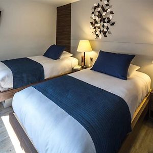 Suite Executive